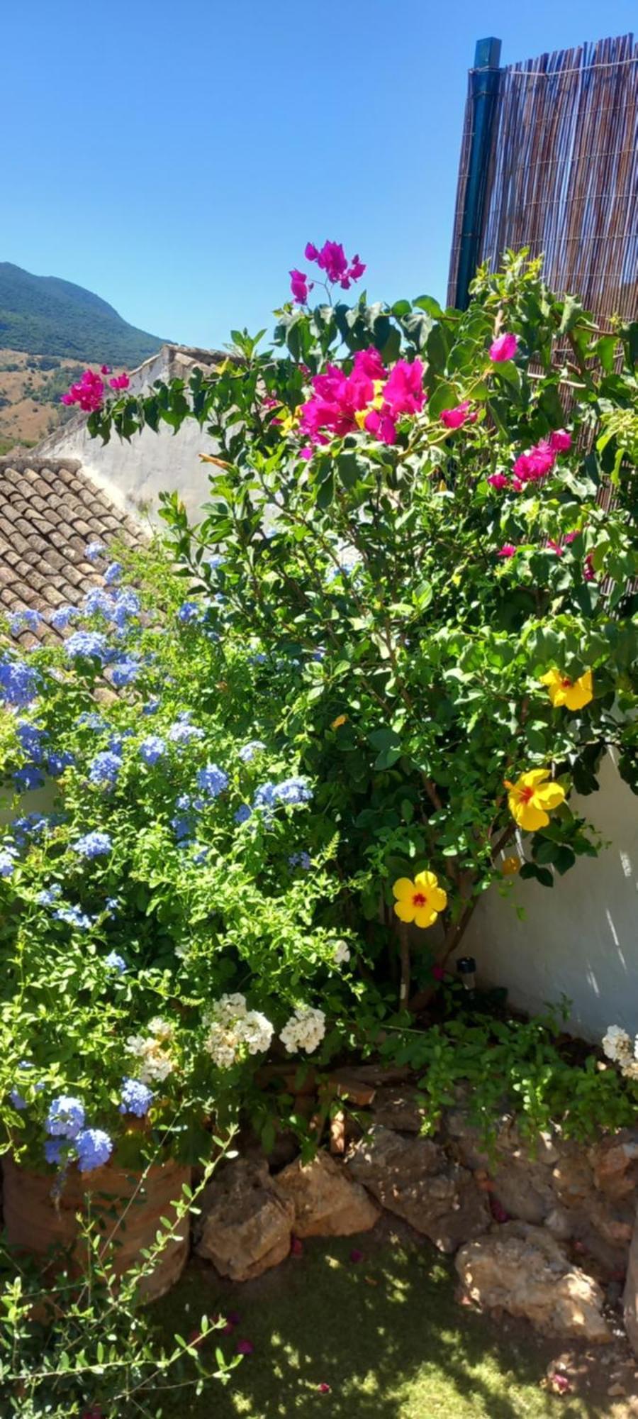 La Posada De La Muela Algodonales Ngoại thất bức ảnh