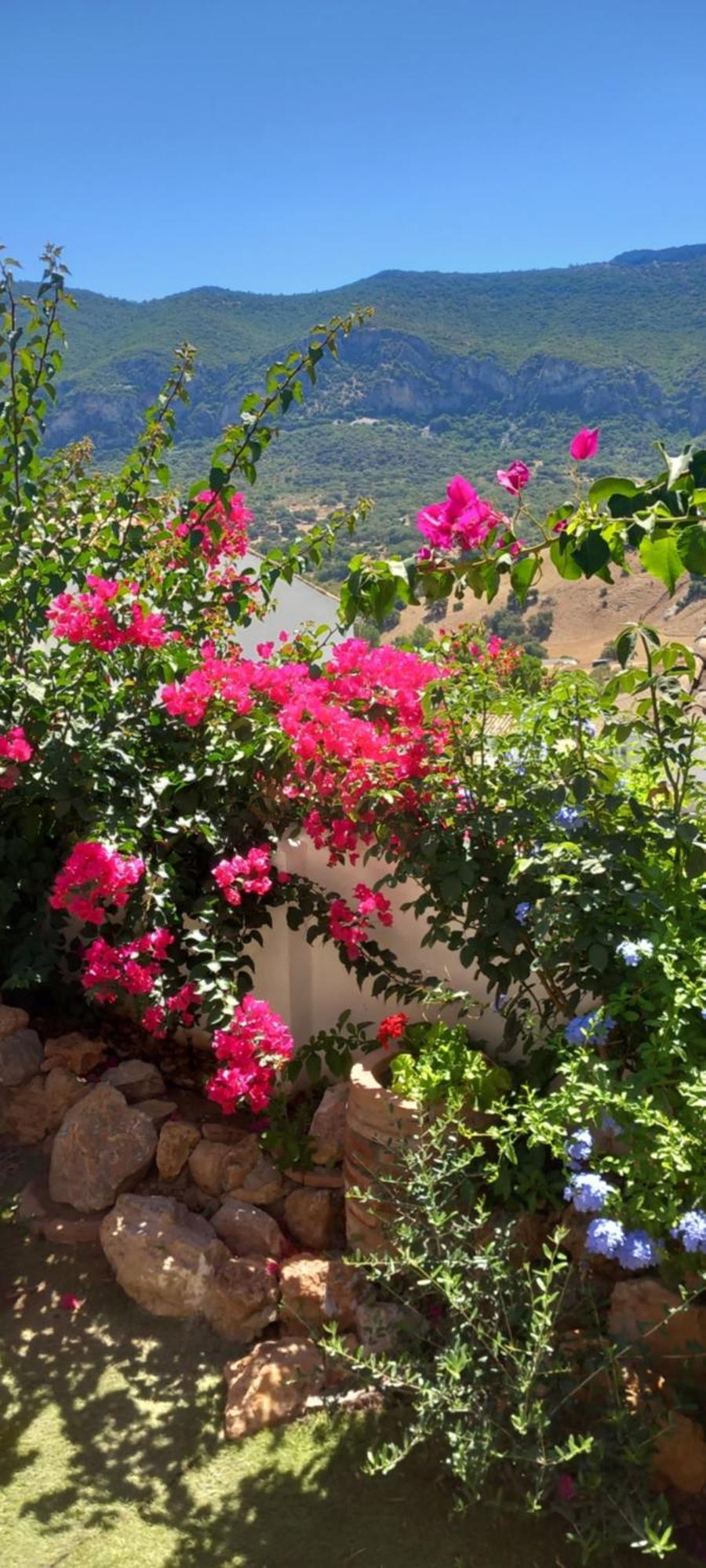 La Posada De La Muela Algodonales Ngoại thất bức ảnh